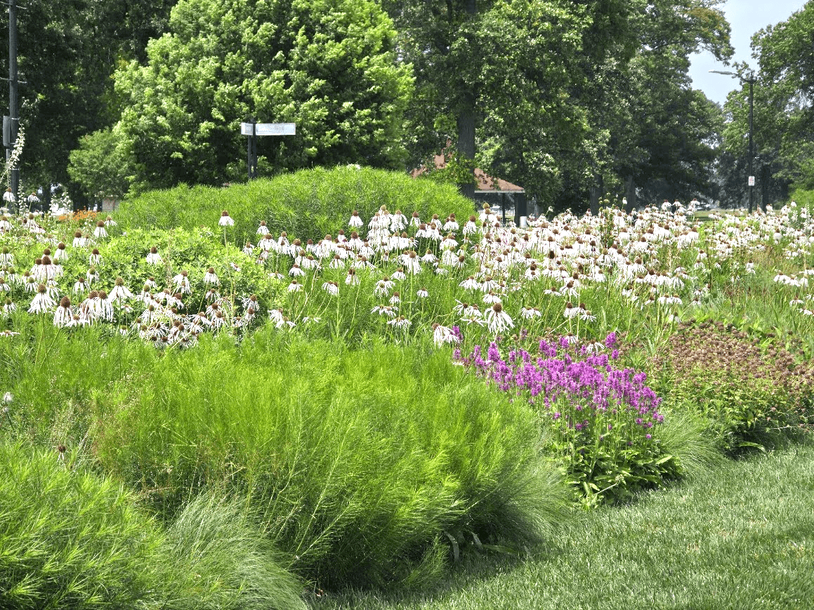 Environmental Leadership